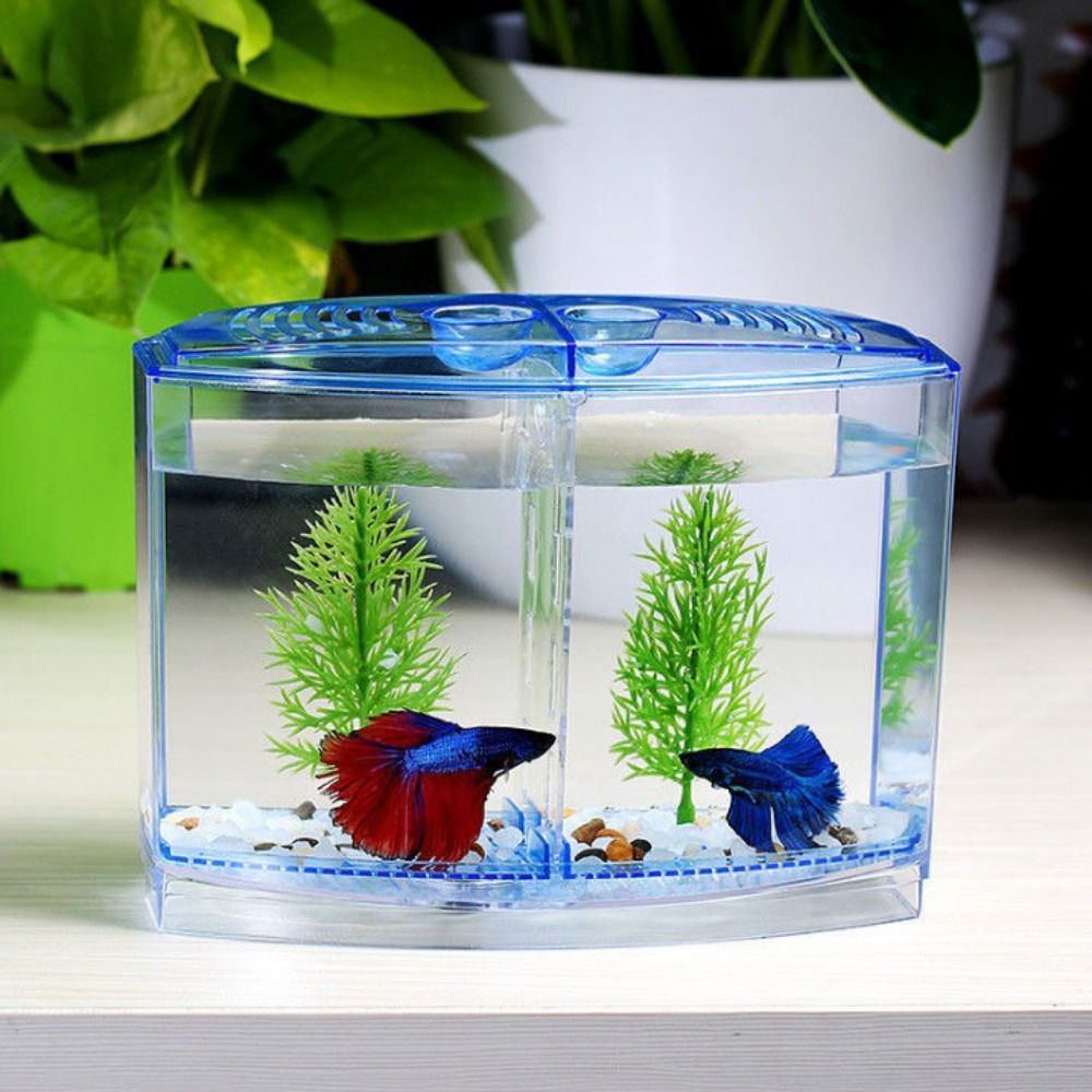 Aquarium Fish Betta - Pecera transparente Betta, acuario Guppy de