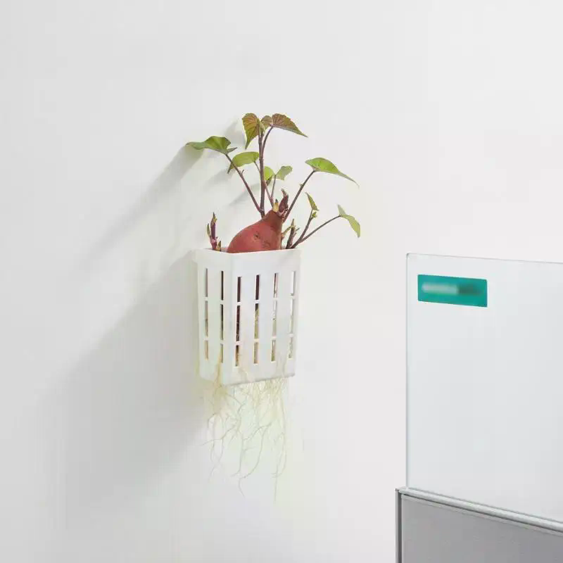 1 unidad de cesta de soporte h - Aquarium Plants reseña y precio