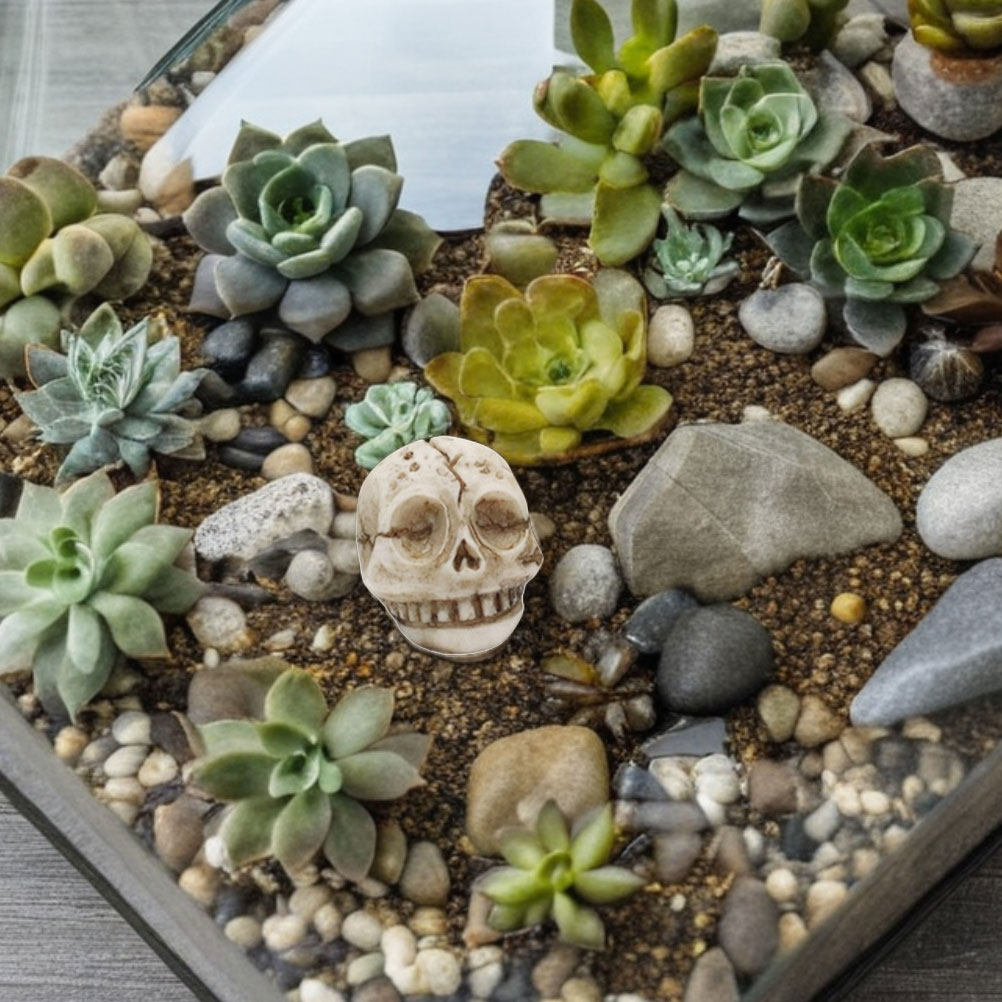 20 piezas de adornos de calave - Aquarium Decor reseña y precio