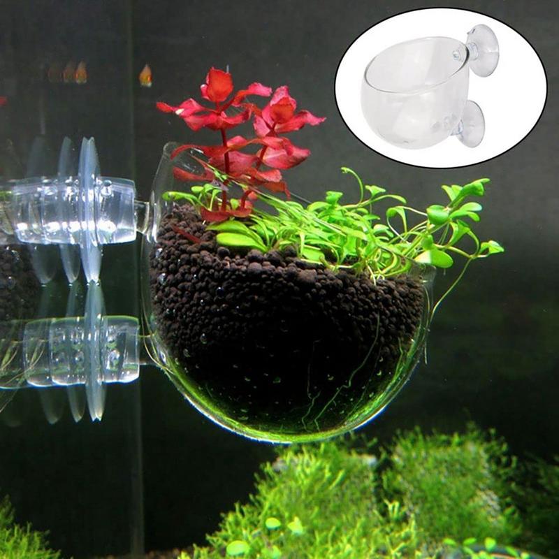 Decoraciones para acuario, mac - Aquarium Plants reseña y precio