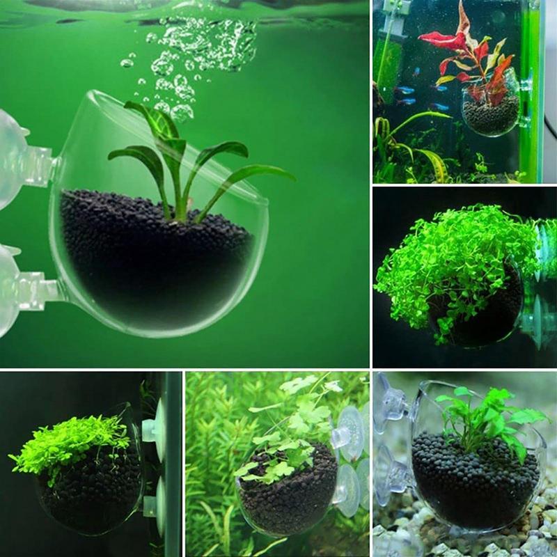 Decoraciones para acuario, mac - Aquarium Plants reseña y precio