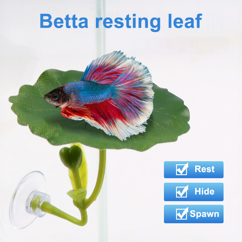 (Ce14) 1/5PC Hamaca de hojas v - Aquarium Fish Betta reseña y precio