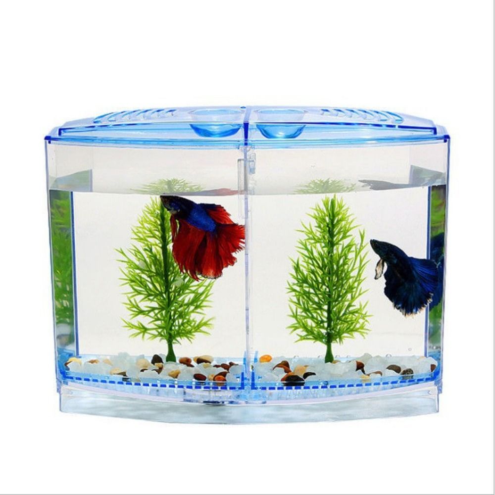 Pecera transparente Betta, acu - Aquarium Fish Betta reseña y precio