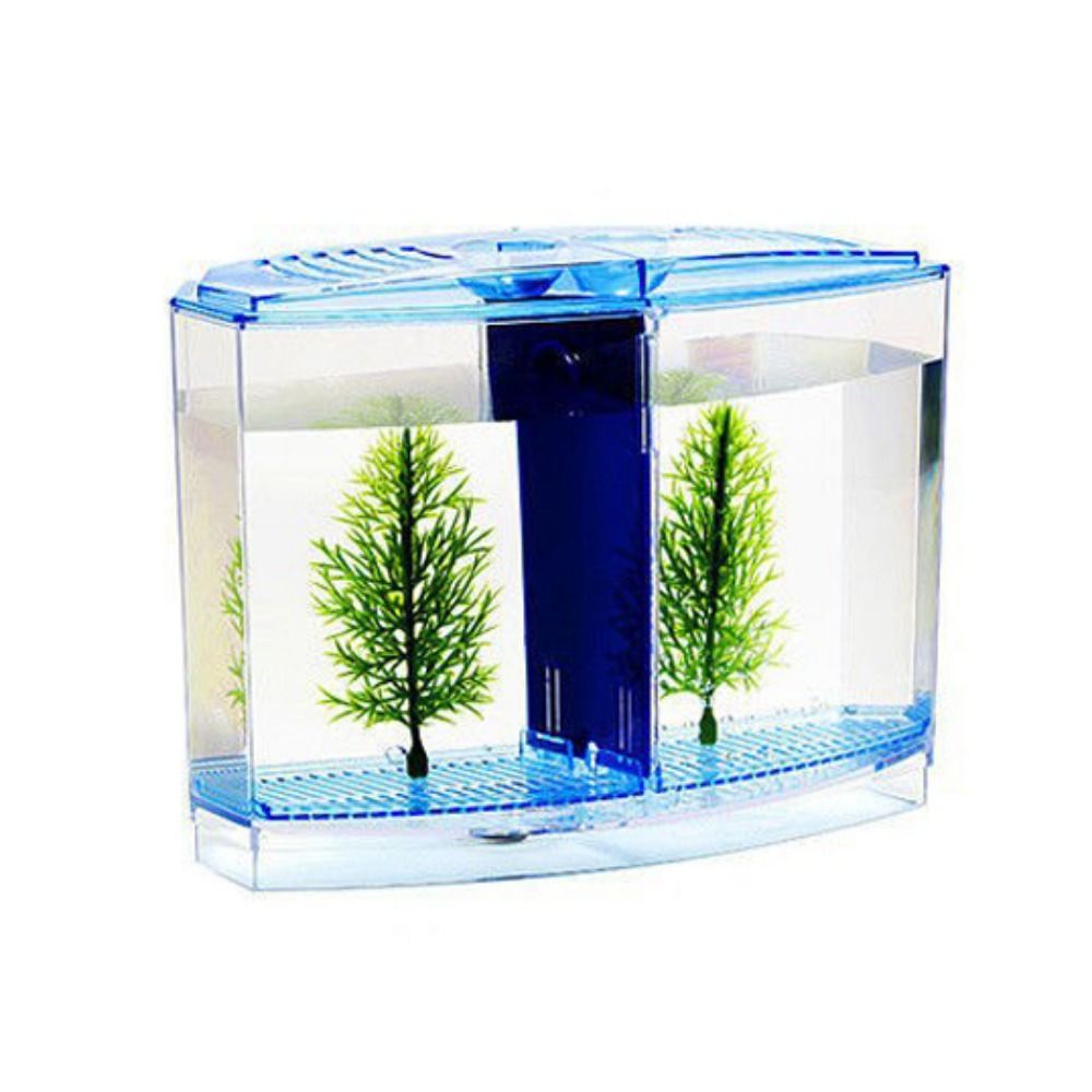 Pecera transparente Betta, acu - Aquarium Fish Betta reseña y precio