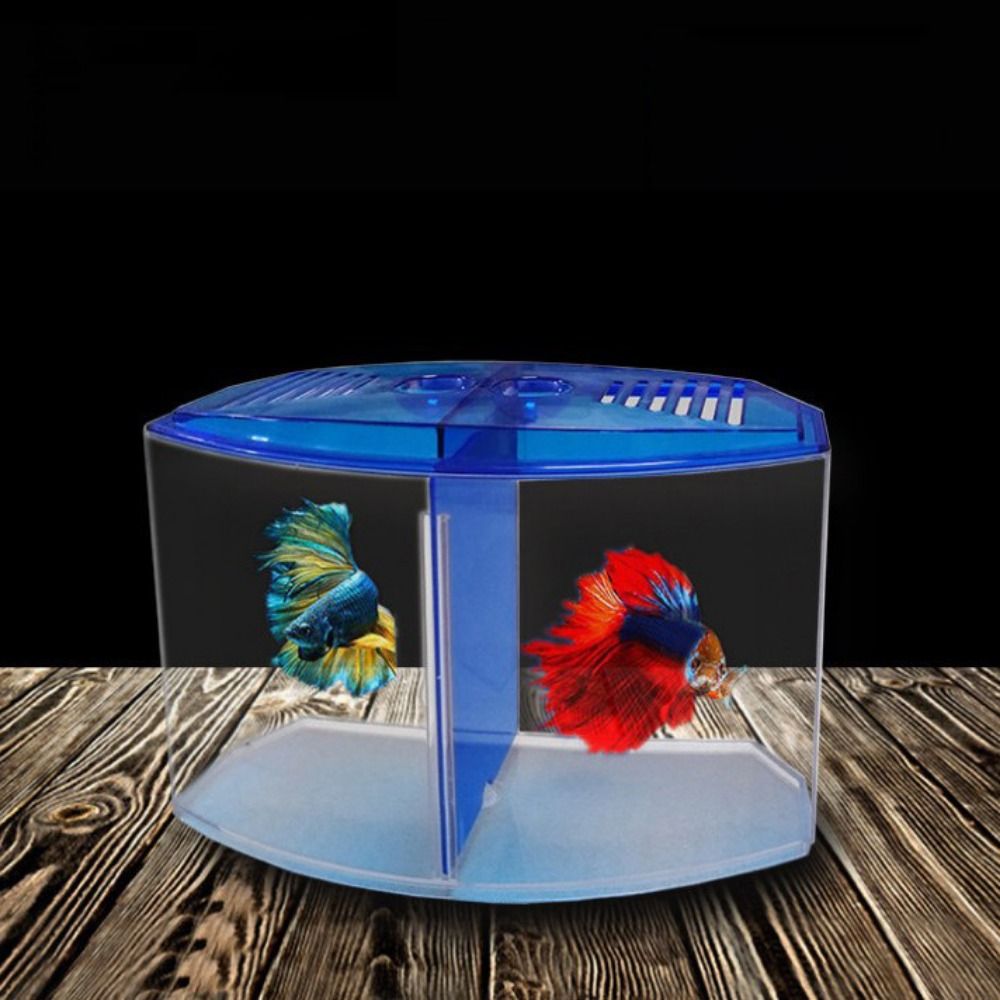 Pecera transparente Betta, acu - Aquarium Fish Betta reseña y precio