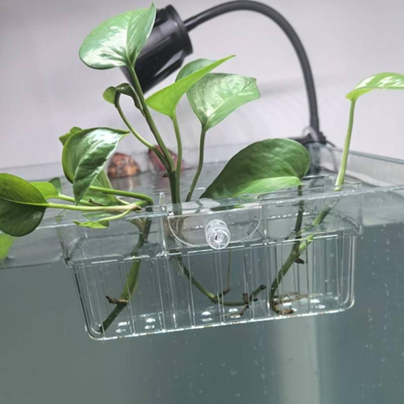 Cesta para Plantas Hidropónica - Aquarium Plants reseña y precio