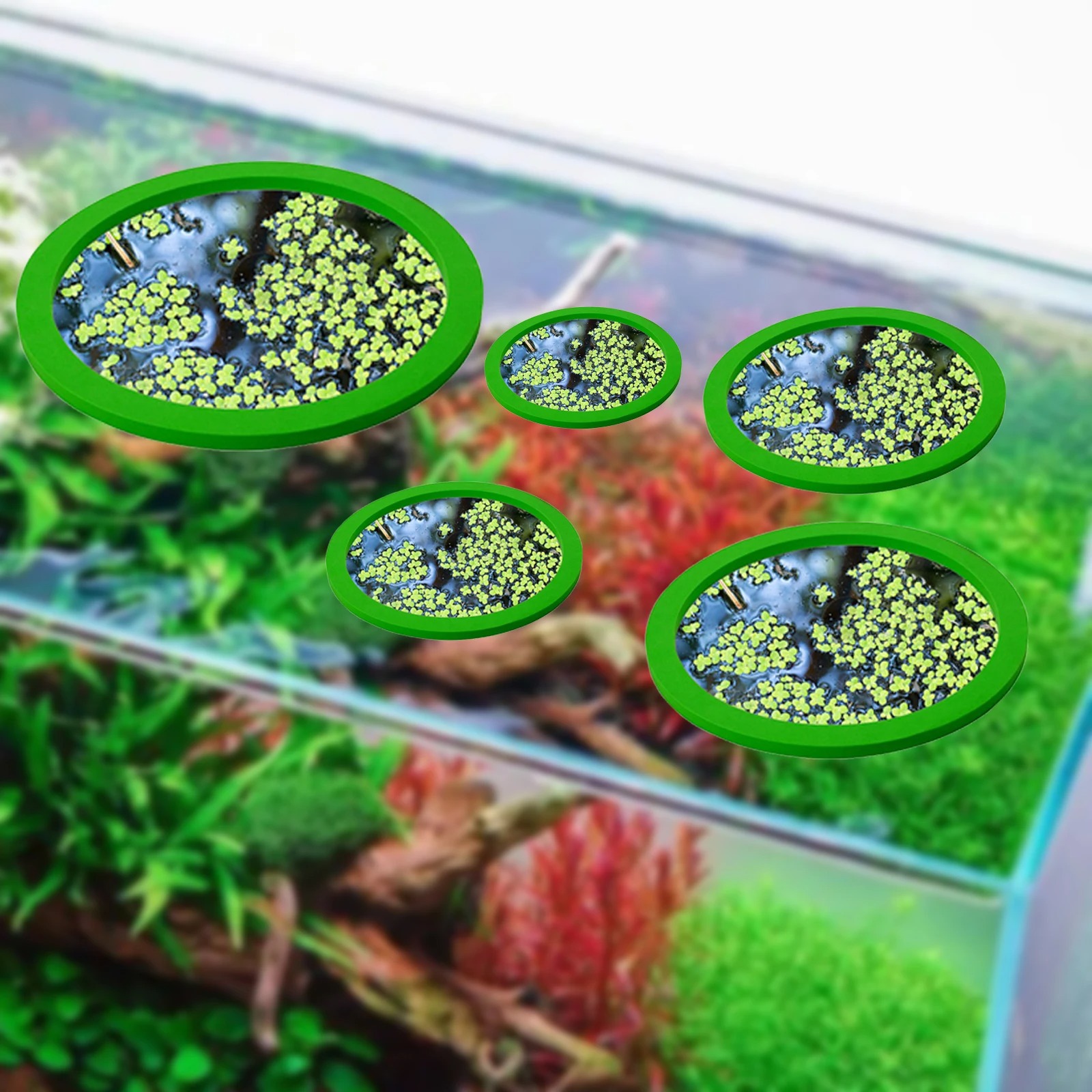 5 uds EVA anillo de alimentaci - Aquarium Plants reseña y precio