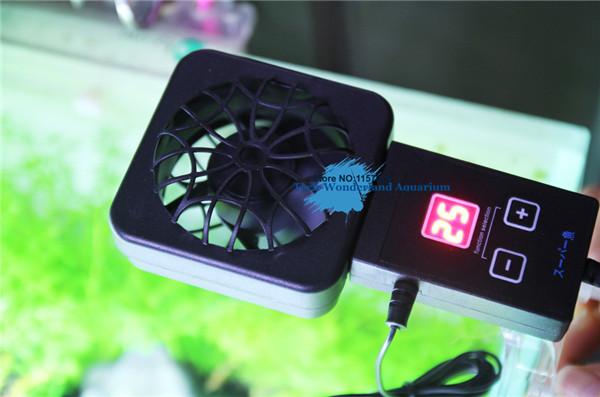 Mini nano clip para colgar en  - Fish Tank Heater reseña y precio