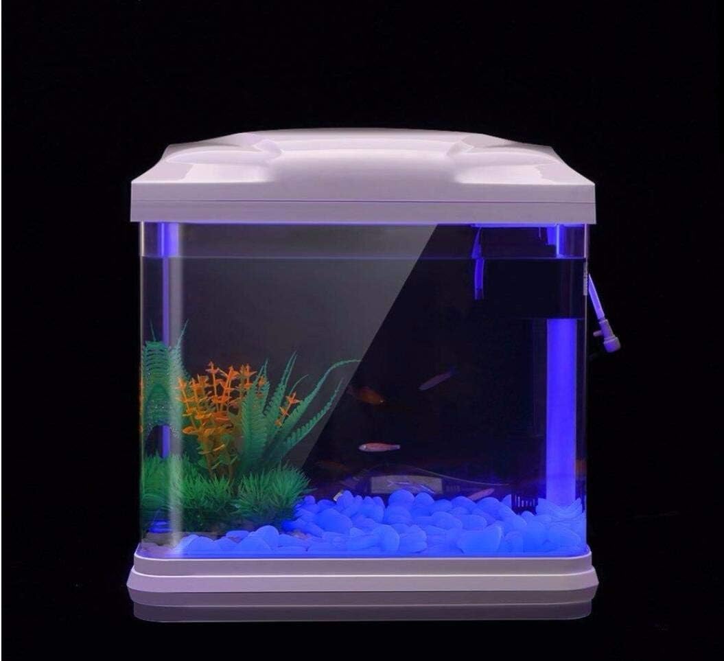 Rocas para pecera, guijarros a - Aquarium Plants reseña y precio