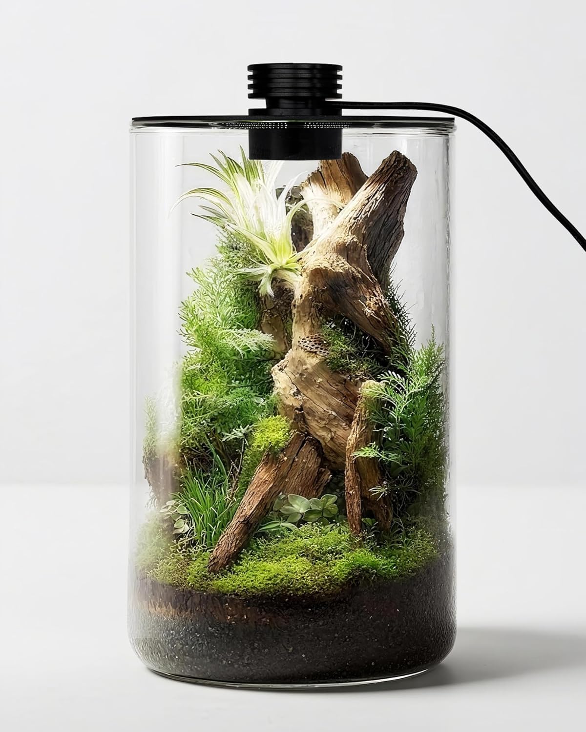 Terrario de Vidrio para Interi - Betta Fish Tank reseña y precio