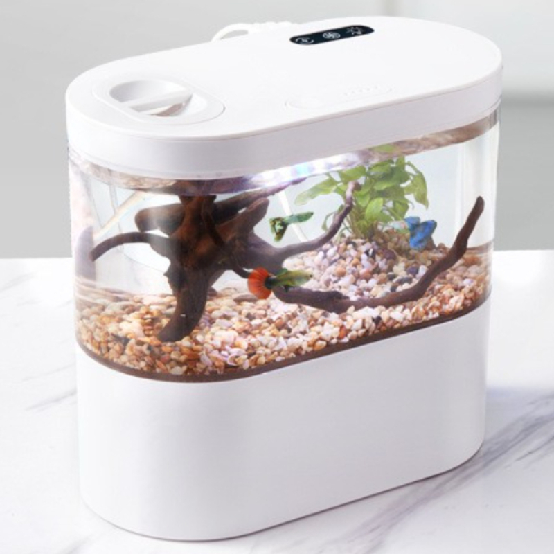 Mini Acuario de Escritorio Cre - Aquarium Fish Betta reseña y precio