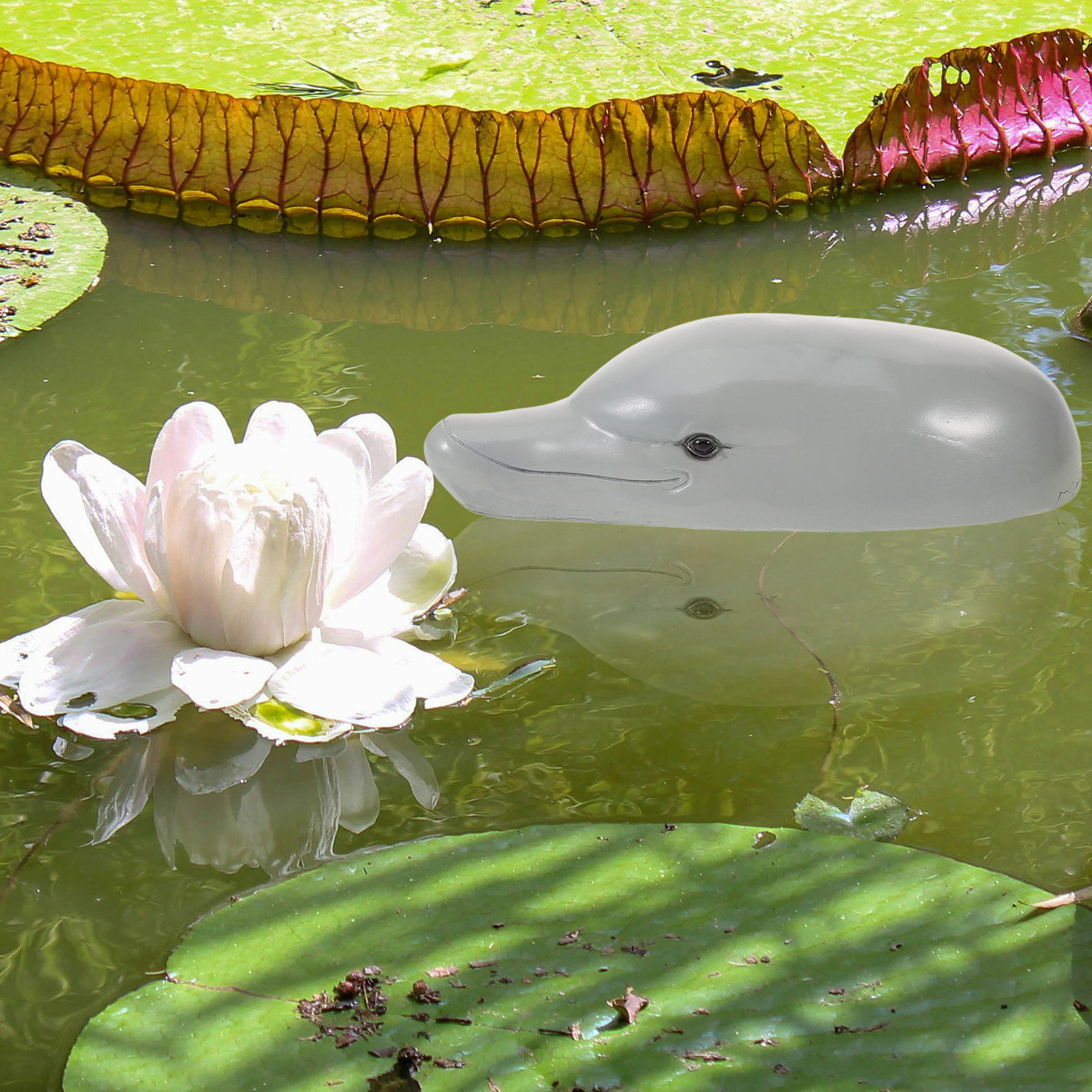 Adorno de cabeza de delfín de  - Aquarium Decor reseña y precio